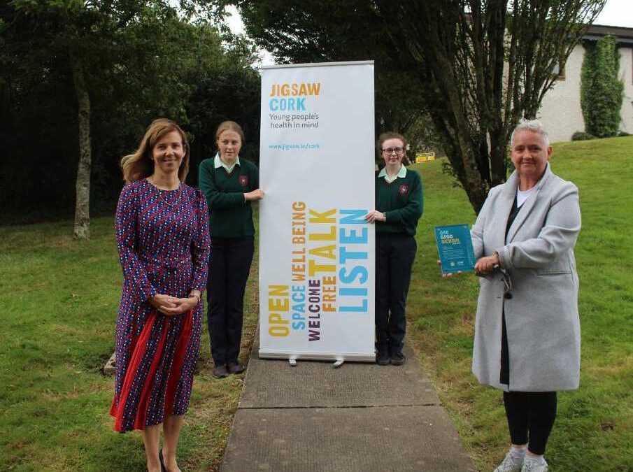 One Good School Jigsaw Youth Mental Health Coláiste na Toirbhirte